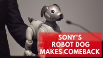 Sony's new Aibo robot dog is the cutest in AI technology