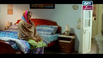 Rasm-e-Duniya Episode 17 - on ARY Zindagi in High Quality 2nd November 2017