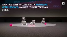 Sony's Aibo robo dog is back, and smarter than ever