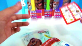 SECRET LIFE OF PETS PEZ Candy Dispensers, Toy Surprises, Max, Chloe, Duke, Snowball, Num Noms Lights