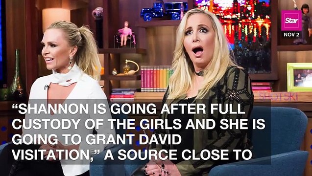 Shannon Beador Wants Full Custody Of Her Three Daughters