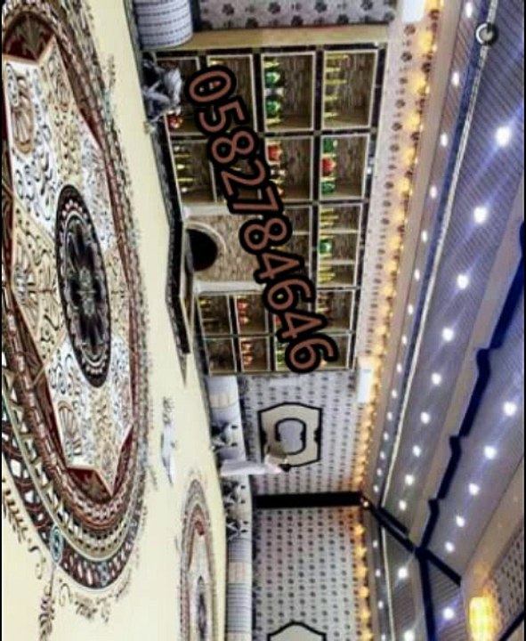 مشبات