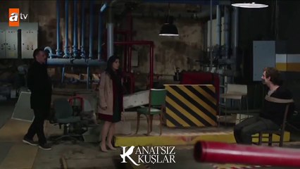 Büyük sırrı öğrenen Muzaffer ile Nefise'nin yüzleşmesi! - Kanatsız Kuşlar 20.Bölüm