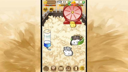 Hamster Life || Special Hamster Event?! - Episode #4