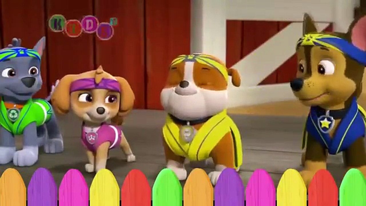 Thomas and Friends Race Roller Coaster ◕‿◕ KidsF