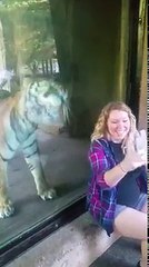Un tigre aperçoit que cette femme est enceinte, puis sa réaction fait le tour du monde.
