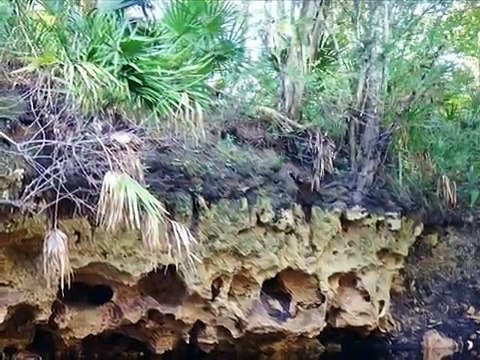 Gulf Coast Family Vacation Home | Keaton Beach Cabin Rentals