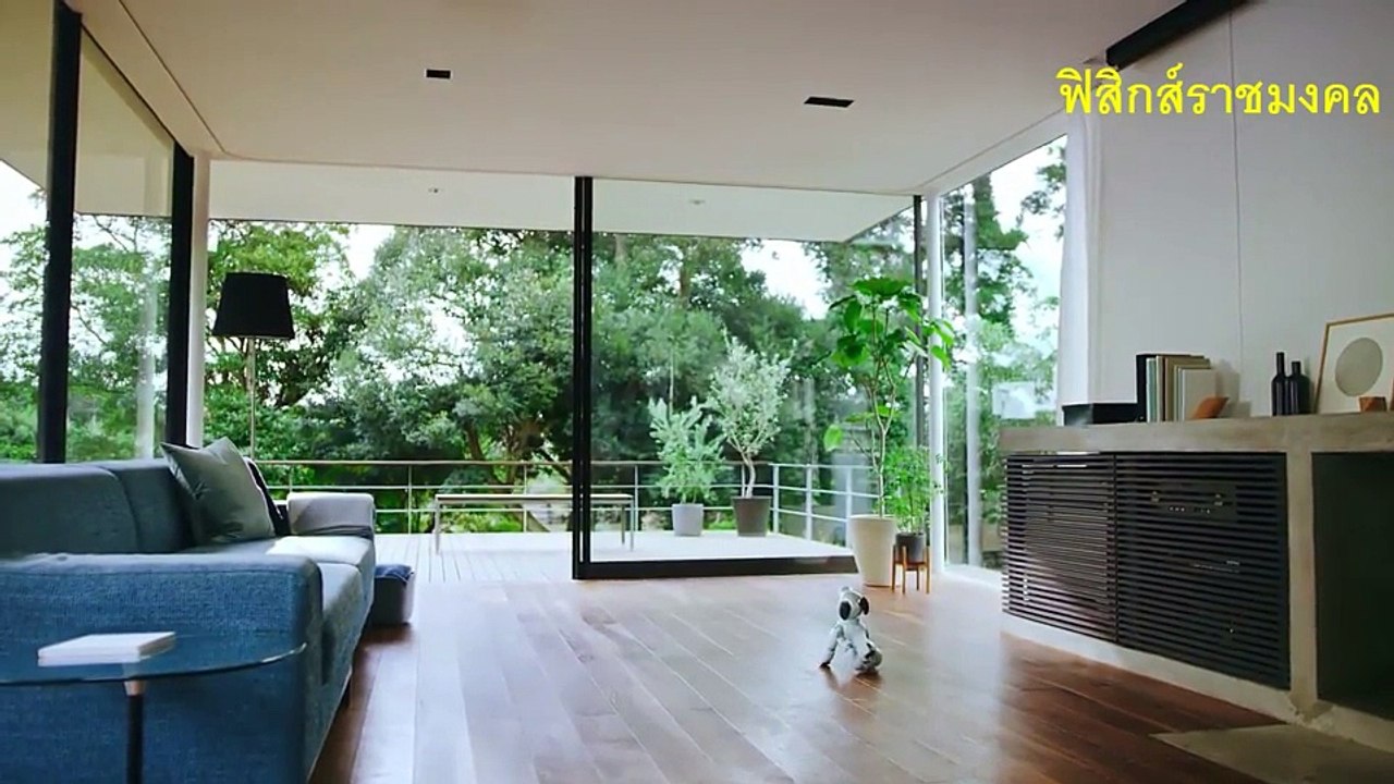 Sony เปิดตัวหุ่นยนต์สุนัข Aibo ใช้ AI ในการเรียนรู้และจดจำ