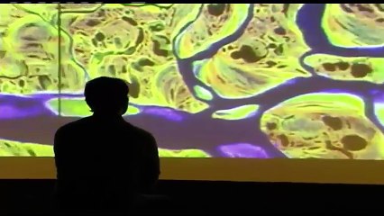 Planetario de Bogotá, un lugar diseñado para recrear el universo