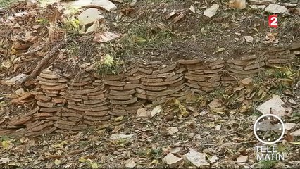 Sans frontières - Rome : Une montagne d'amphores