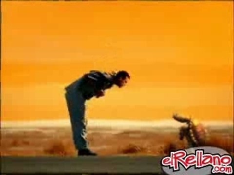 pub - biere - brahma - tortue volant le camion