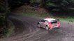 Rally Wales  GB 2017 Test - Craig Breen WRC