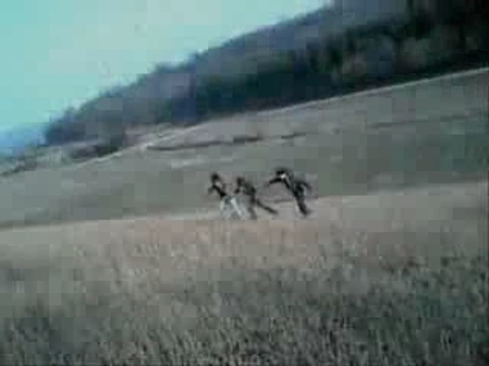 Dawson 2.0  (feat jeanloup, gir, ju, bastoye)