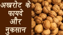 Walnut, अखरोट | Health benefit | अखरोट के फायदे और नुकसान | Boldsky