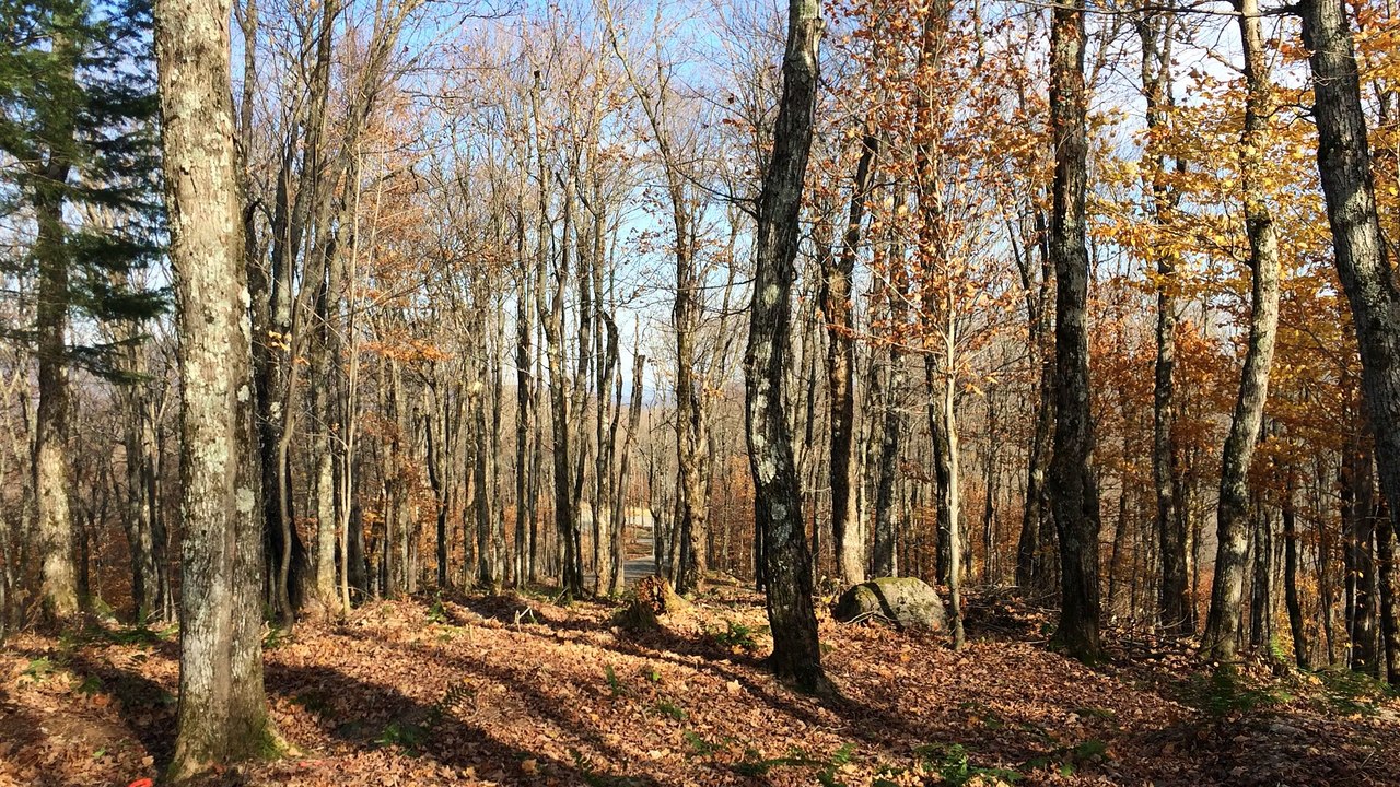 Land for Sale Laurentians - Terrain a Vendre Laurentides Altitude 612