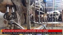 Üreticiler Süt Ürünlerinin Fiyatlarındaki Artışa Tepkili