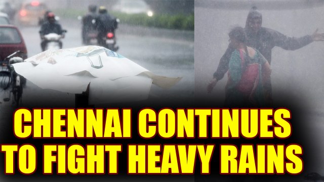 Chennai Rains : Day to day life hit hard after heavy rains | Oneindia News