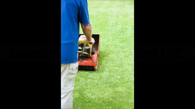 SW Lawn Care and Maintenance Specialist LLC-(732) 322-6338