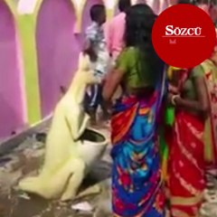 Çöp kutusunu tanrı figürü sandılar