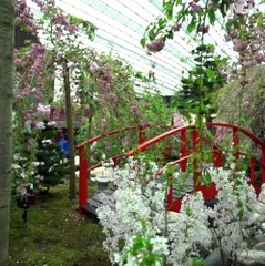 Heres why Singapore should be on your bucket list ✈️