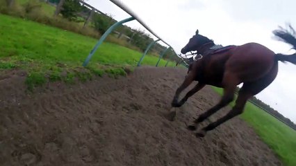 Michael Owen attan düştü!