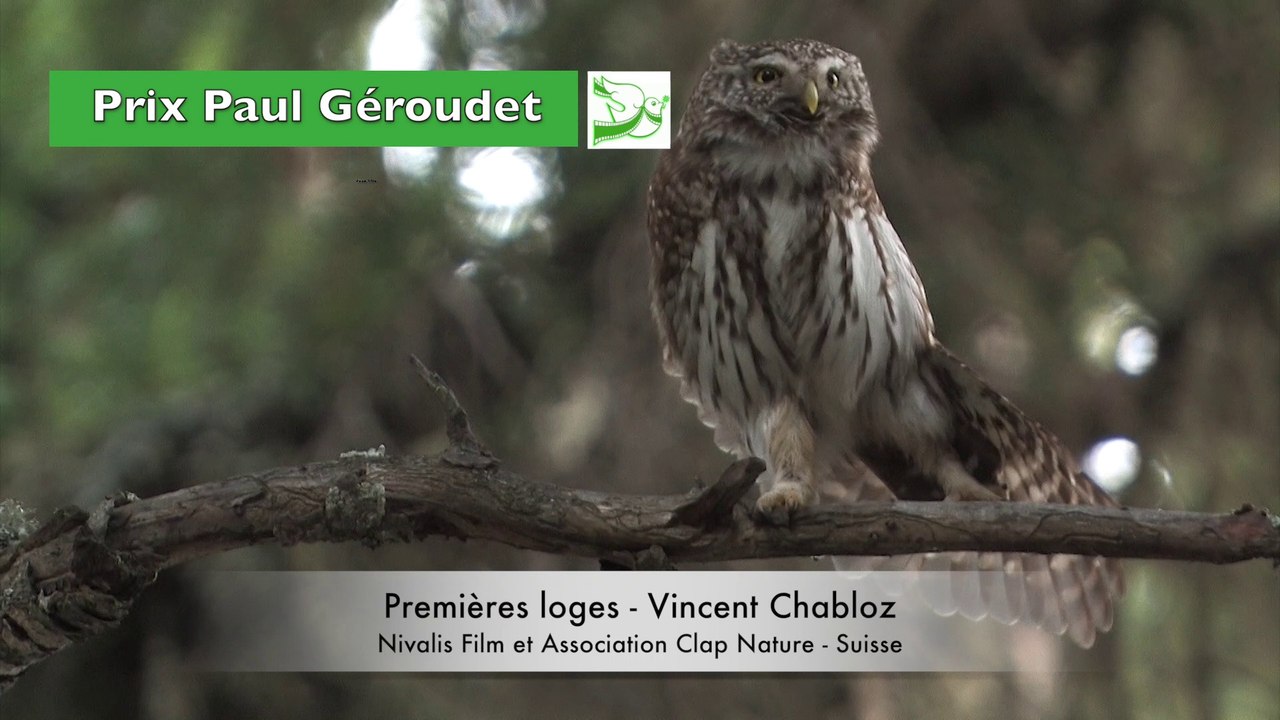Prix Paul Géroudet 2017