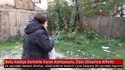Bolu Kediye Kemerle Vuran Komşusunu, Özür Dileyince Affetti