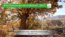 3 Prix : Protection de la Nature - PNR du Marais Poitevin - CCPN