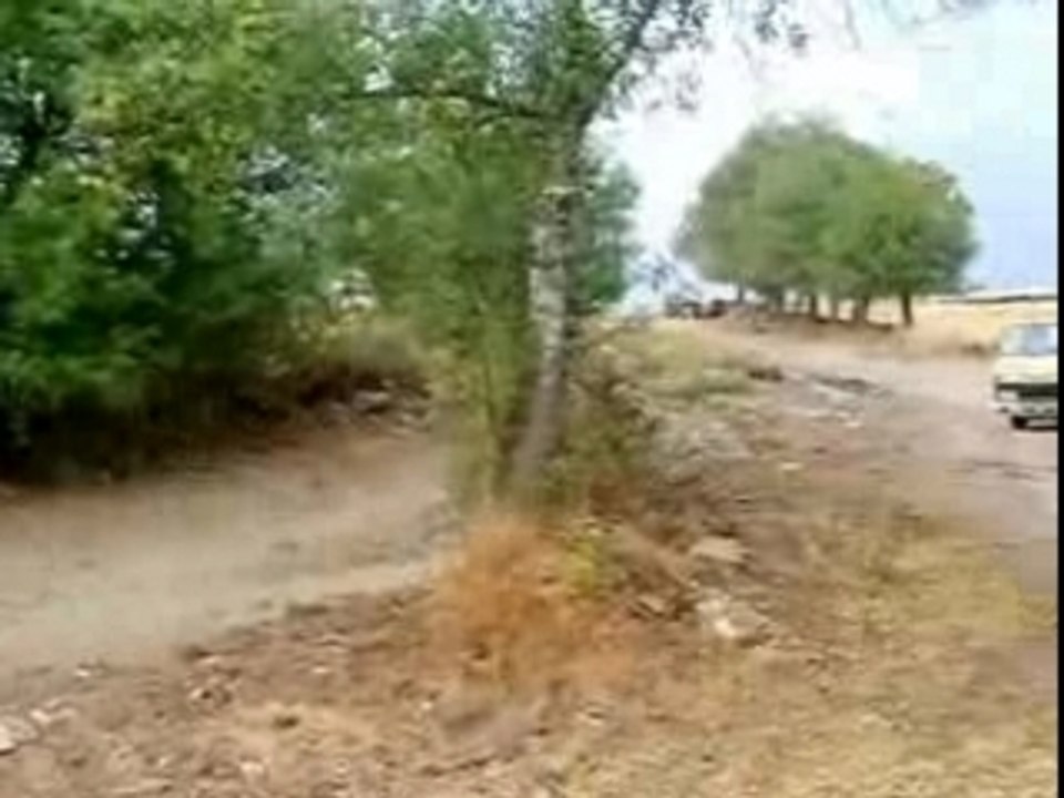 Avinho quad 07.08.25