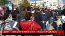 Lösemi Hastası Çınar'a Donör Olmak İçin Kuyruk Oluşturdular