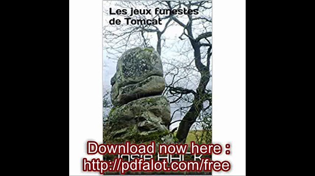 Les jeux funestes de Tomcat