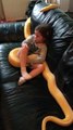 Juste une petite fille qui regarde la TV avec... un énorme serpent ! Par Flash Actu