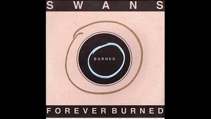 Swans -- Love Will Tear Us Apart - YouTube