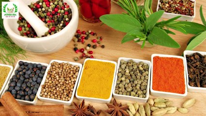 Benefits Of Drumsticks