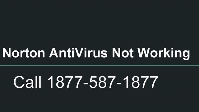 Norton Antivirus Not Working | 1877-587-1877