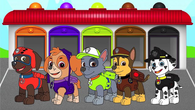EXTRA Colors Paw Patrol!!! Learn Colors! Video for kids and toddlers!
