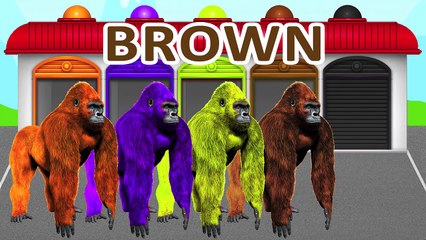 NEW COLORS GORILLA! LEARN COLORS! Video for kids and toddlers!