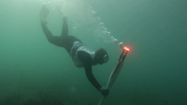 평창 올림픽 성화 제주 이틀째 봉송 / YTN