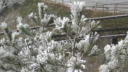 [날씨] 찬 바람 쌩쌩, 기온 뚝...주말 추위에 산간 대설 / YTN
