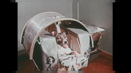 Laika: Das ruas de Moscovo para o espaço
