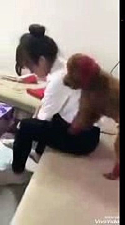 Chó yêu nghịch cô chủ nhỏ _ gạ xoạc