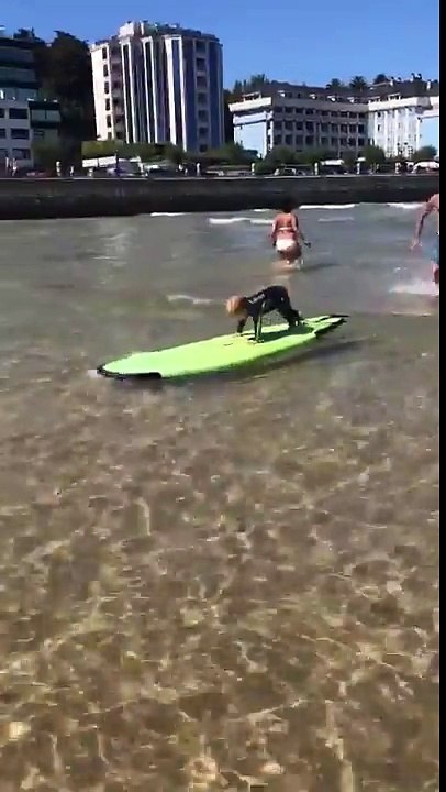 Agé d'1 an il fait du surf tout seul comme un grand !