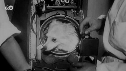 Uzaya giden ilk dünyalı: Laika