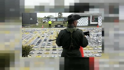 Éradication de la coca : l'ONU débloque des aides financières