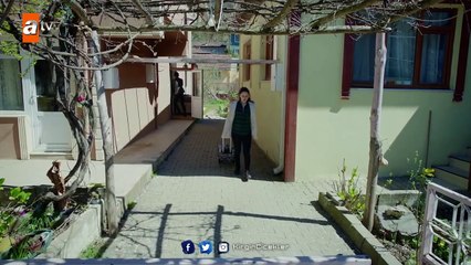 Kırgın Çiçekler 78.Bölüm - Songül, Güney’i terk ediyor!