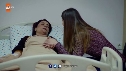 Kırgın Çiçekler 81.Bölüm - Defne’nin büyük pişmanlığı!