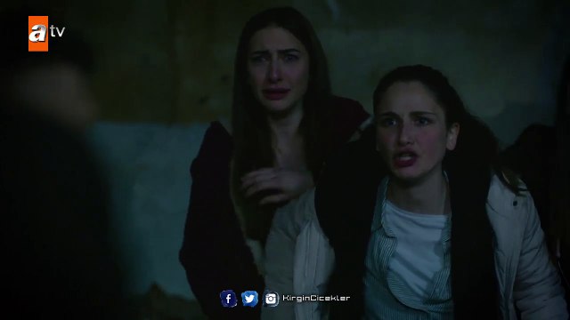 Kırgın Çiçekler 82.Bölüm - Kemal, Kırgın Çiçekler’i ölüme terk ediyor!