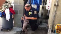 Puppy Is Sad At Shelter, Until She Reunites With The Firefighter Who Saved Her From Abuse