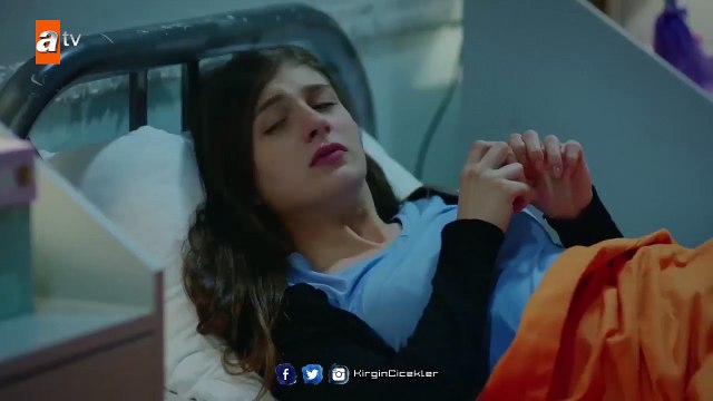 Deliren Banu yurtta! - Kırgın Çiçekler 88.Bölüm (Sezon Finali)