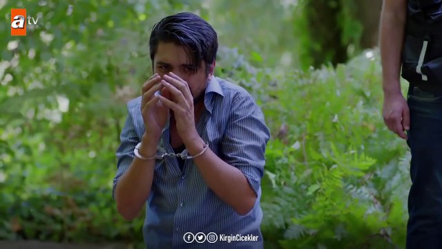 Canlı canlı gömülen Aycan kurtuluyor mu? - Kırgın Çiçekler 94.Bölüm